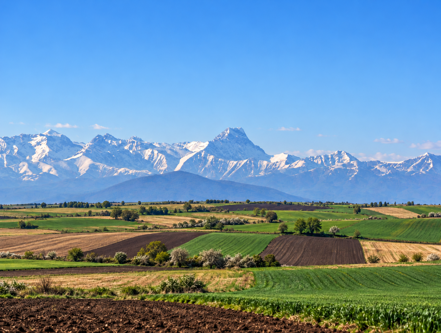 Snow-covered Caucasus mountains above the fields of the Alazani plain